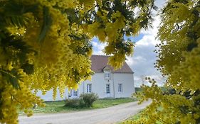 Les Mimosas